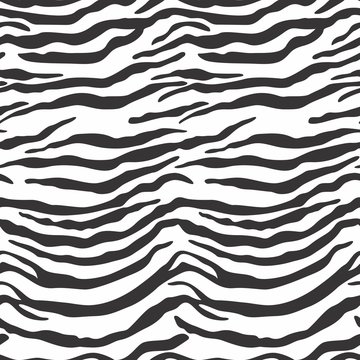 Zebra Pattern