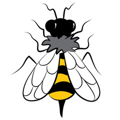 Overhead of Bumblebee Insect