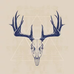 Poster deer skull © blauananas