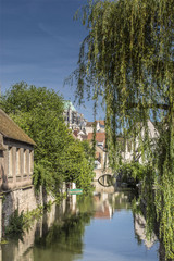 Fototapeta premium Chartres - bords de l'Eure