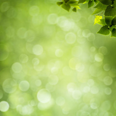 Obraz premium abstract natural backgrounds with green foliage and beauty bokeh