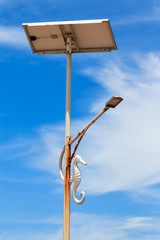 sea horse on electricity post in thailand