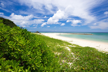 沖縄のビーチ・村民の浜
