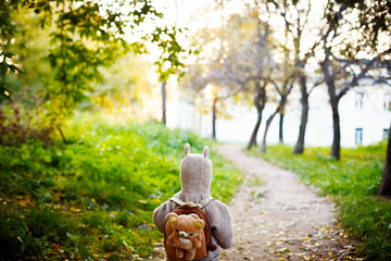 Little Kid in Funny Jacket Walking in the Park