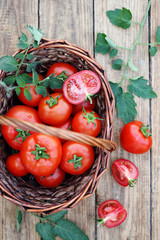 tomatoes, top view
