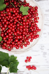 organic red currants, top view