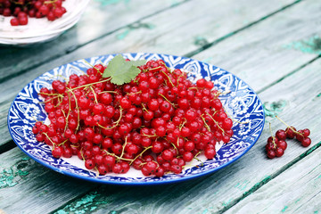 organic red currants
