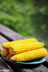 Boiled corn on a plate
