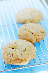 oatmeal cookies