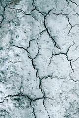 cracked earth