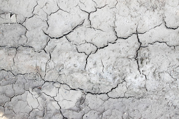 Dry earth background