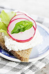 canape with cheese and radish