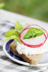 canape with  radish