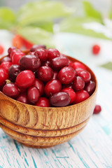 dogwood on the table