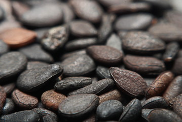 Fototapeta na wymiar Pile of black sesame seeds isolated on white background