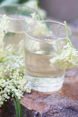 elder floral brew