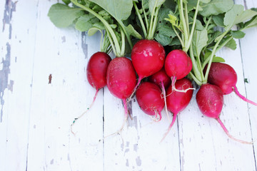 organic radish