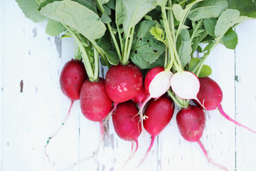 bunch of radishes, top view
