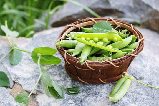 green peas on a stone