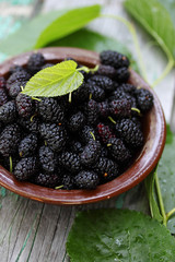 Juicy Mulberry