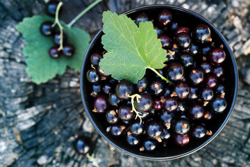 black currants, top view