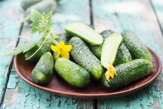 cucumbers in a plate