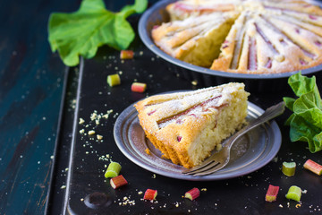 Piece of Rhubarb cake on dark background