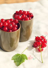 Red currants in green glasses