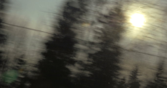 Nature scene with sun and trees, view from the train 