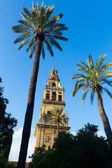 Fototapeta na wymiar Bell tower of Cordoba Cathedral