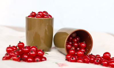 Red currants in green glasses