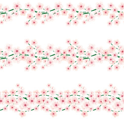 Cherry blossom borders