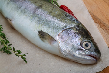 Raw trout