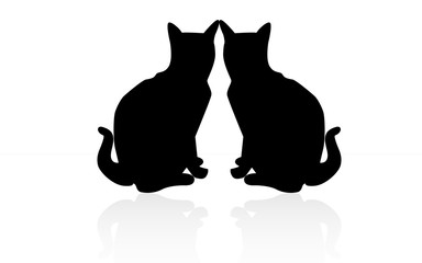 behind 2 cat and them shadow