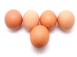 egg on a white background