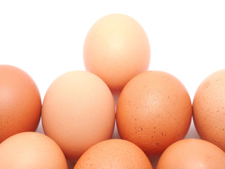 egg on a white background