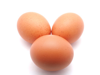 egg on a white background