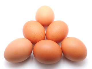 egg on a white background