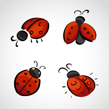 Sketch icons - ladybug