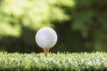Golf ball on tee pegs