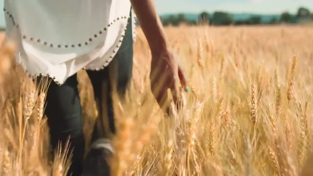Woman's Hand Running through Wheat
