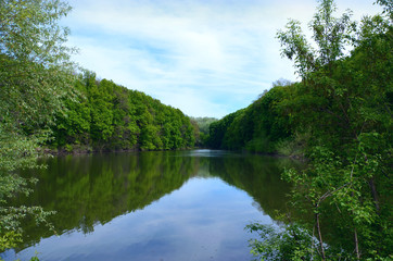 Fototapeta na wymiar River flowing between the forest