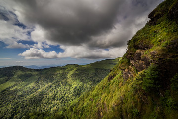 Subtropical rainforest and mountains