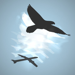 abstract bird and shadow