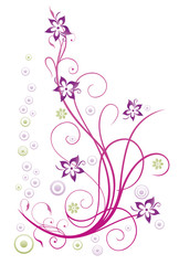Fototapeta na wymiar Bunte Sommerblumen, filigran, floral