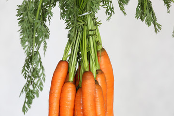 carrots
