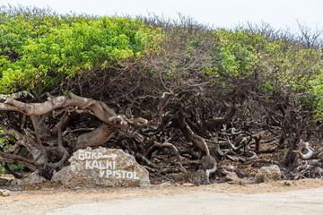 Directions Painted on Rock