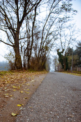 Strada d'autunno