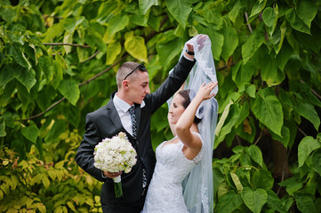 tender wedding couple background green leaf