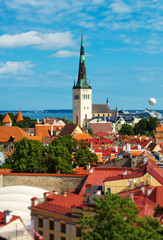 Summer view of old city. Estonia, Tallinn.